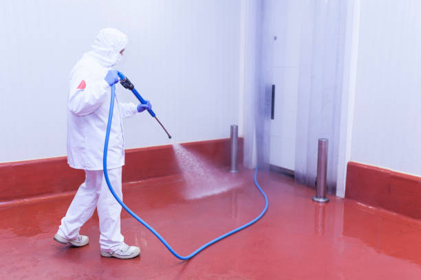 Best Restaurant Pressure Washing  in Tierra Verde, FL